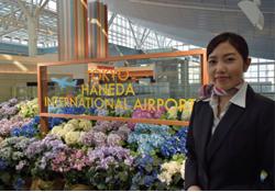 日系大手航空会社ラウンジ/国際線拡張に伴う増員募集