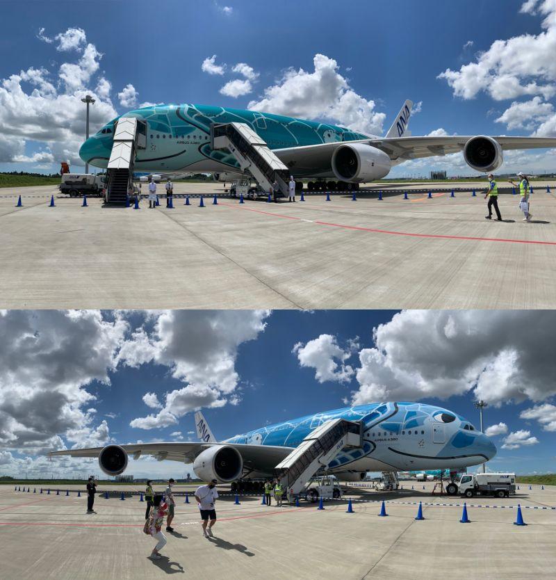 「A380 FLYING HONU」の「ラニ」「カイ」の2機が1日で両方楽しめるツアー